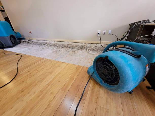 Professional Structural Drying technician working in Loudon, NH